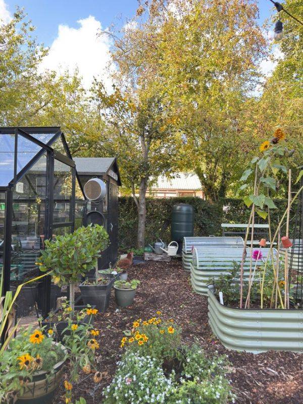 Vanessa Price Kitchen Garden Blog 2